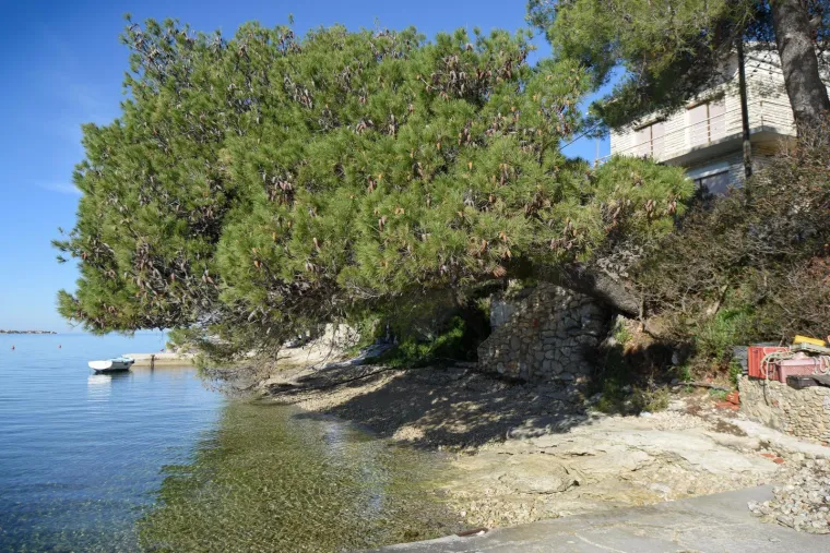 Najmanji naseljeni otok u Hrvatskoj: Izvan sezone ovdje živi desetak ljudi i svi nose isto prezime