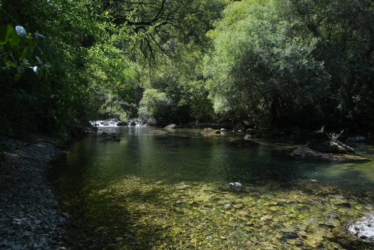 Darko Rundek i prijatelji održali besplatan koncert protiv devastacije rijeke Une