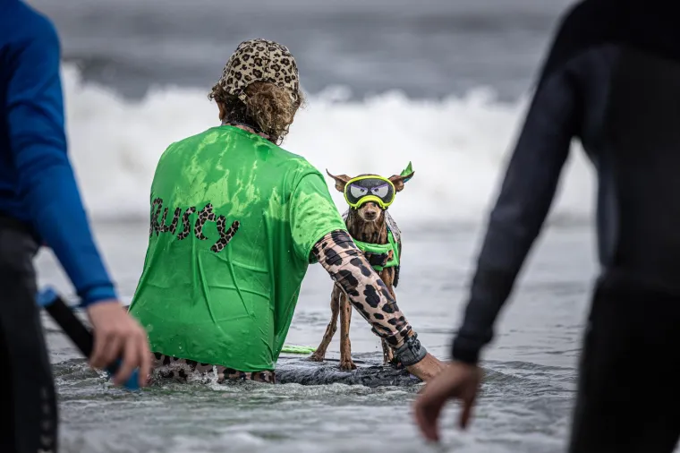 Svjetsko prvenstvo pasa u surfanju doista je bilo vau! Valove je jahalo čak 20 neustra&scaron;ivih kandidata