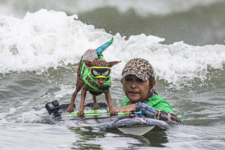 Svjetsko prvenstvo pasa u surfanju doista je bilo vau! Valove je jahalo čak 20 neustra&scaron;ivih kandidata