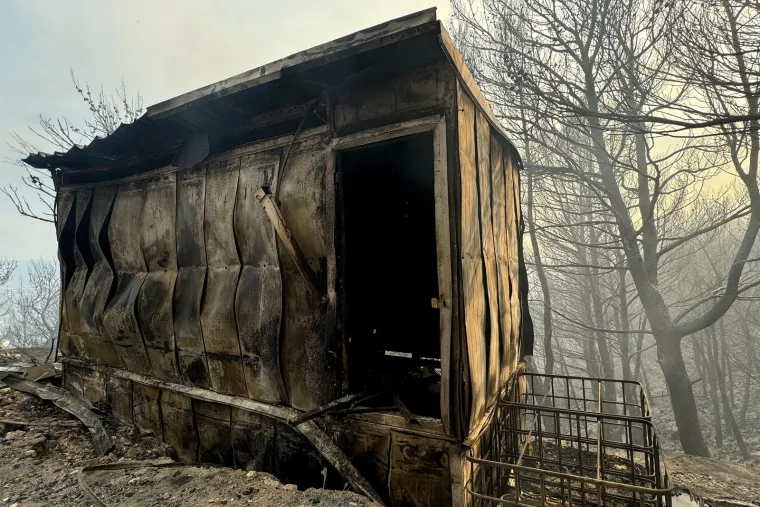 Strašna buktinja kod Solina! Stotine vatrogasaca na terenu, požar guta sve pred sobom