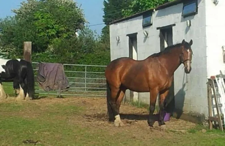 Da, ovo je doista ista žena: I, što je najbolje, na preobražaj uopće nije tako puno potrošila