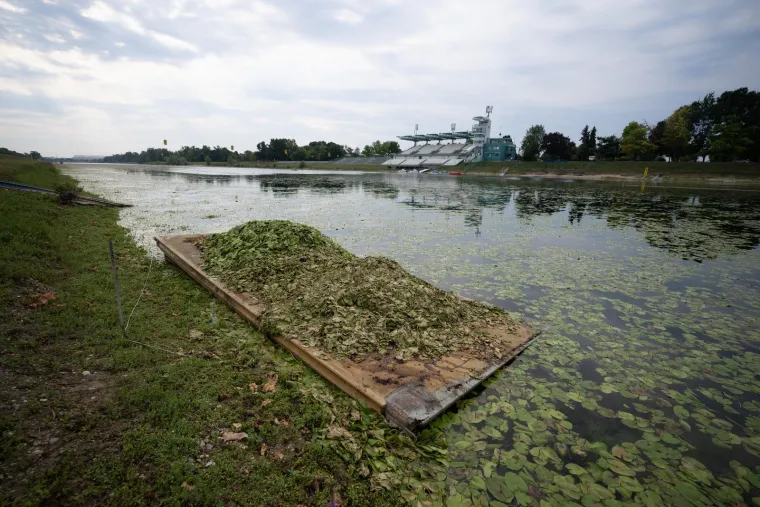 Veslačka staza na Jarunu na kojoj treniraju i Sinkovići opet ima isti problem