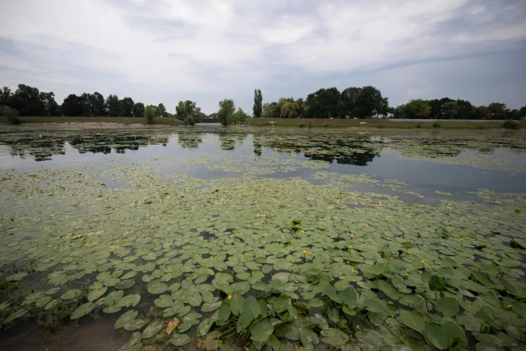 Veslačka staza na Jarunu na kojoj treniraju i Sinkovići opet ima isti problem