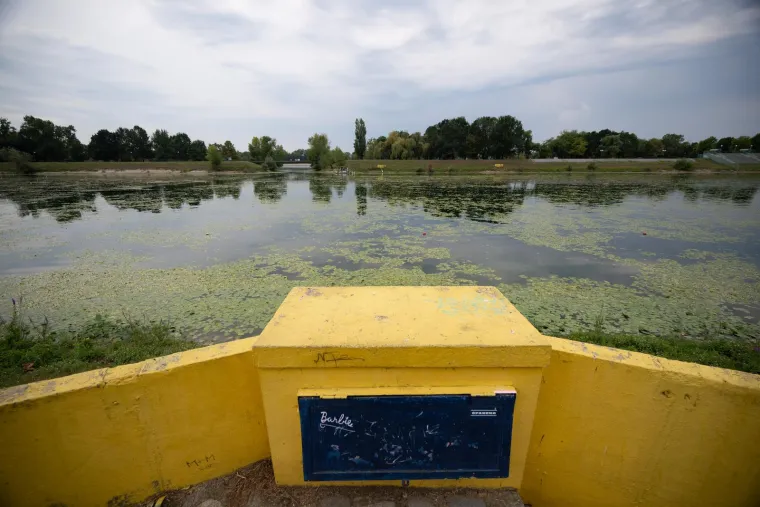 Veslačka staza na Jarunu na kojoj treniraju i Sinkovići opet ima isti problem