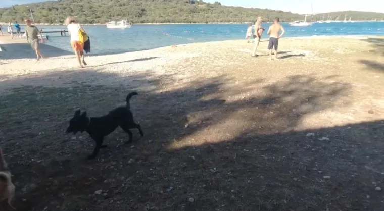 'Mala Jugoslavija' u Hrvatskoj: Na ovom otoku nema struje, vode, ali ni turista