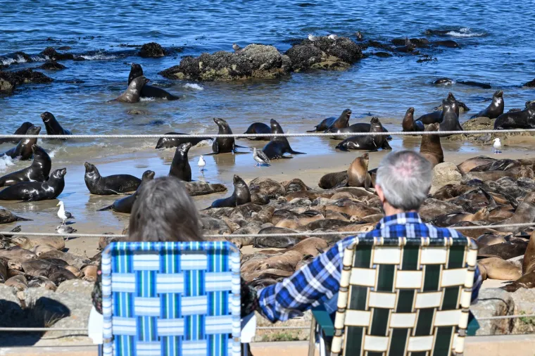 Stigli su preko noći i okupirali plaže: Ljudi tu ne mogu ništa, čak i zakon tako kaže