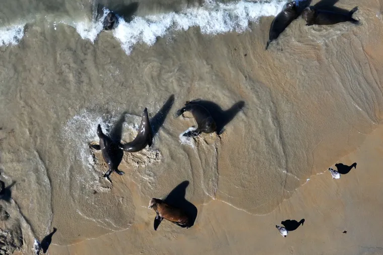 Stigli su preko noći i okupirali plaže: Ljudi tu ne mogu ni&scaron;ta, čak i zakon tako kaže