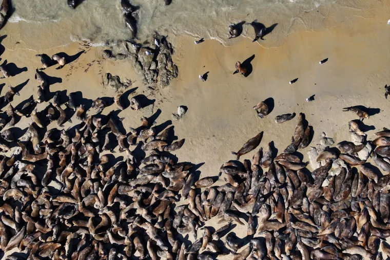 Stigli su preko noći i okupirali plaže: Ljudi tu ne mogu ni&scaron;ta, čak i zakon tako kaže
