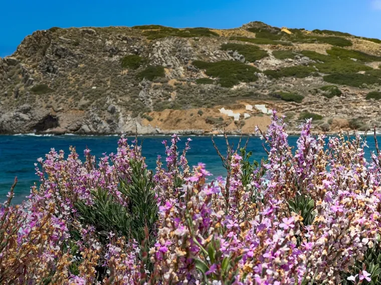 U jednom prosvjedu, stanovnici Mallorce &quot;okupirali&quot; su plažu Calo des Moro, a aktivisti su skandirali &quot;turisti idite kući&quot; i &quot;stranci van&quot;. Imajući to na umu, možda tražite alternativno odredište koje je malo ugodnije za posjetitelje, a Lasithi je idealan.