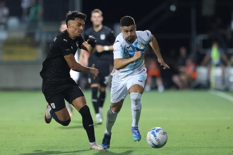 Trenutak koji niste mogli vidjeti u TV prijenosu: Slovenski navijač u prvom planu