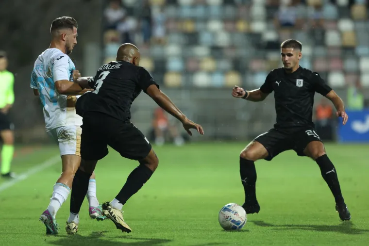 Trenutak koji niste mogli vidjeti u TV prijenosu: Slovenski navijač u prvom planu