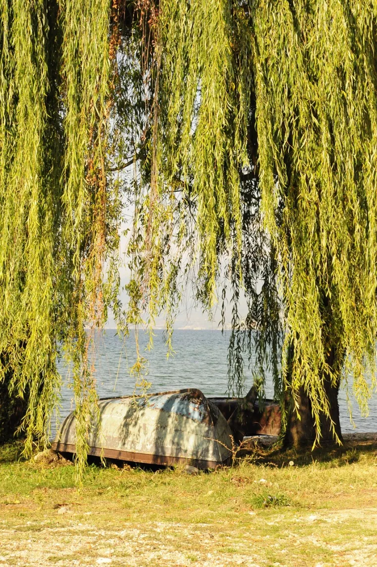 Ljepote Sjeverne Makedonije.