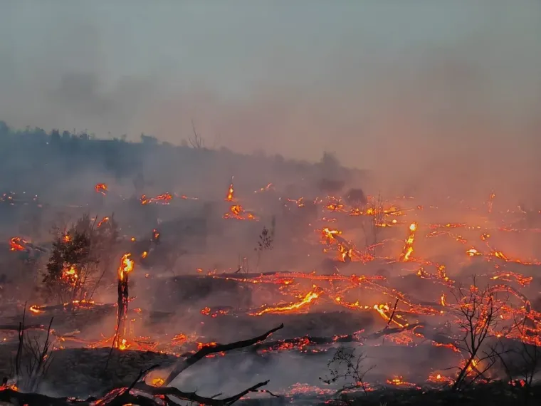 Tri vatrogasca ozlijeđena u zastra&scaron;ujućem požaru u Žrnovnici: Ovako jutro poslije izgleda požari&scaron;te