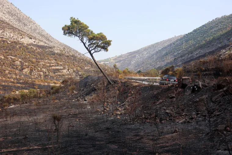 Dan poslije paklene buktinje: Ovako izgleda zgarište u Žrnovnici. Stigli vojnici, čiste teren