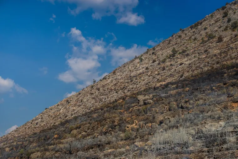 Dan poslije paklene buktinje: Ovako izgleda zgari&scaron;te u Žrnovnici. Stigli vojnici, čiste teren