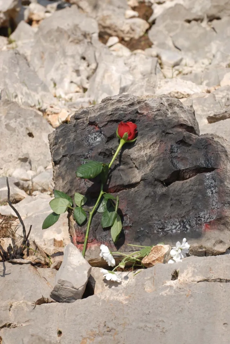 21. 08. 2008., Kornati - Kornatska tragedija je naziv za incident koji se dogodio 30. 8. 2007. na hrvatskom otoku Veliki Kornat kada je grupa od 13 vatrogasaca tesko stradala za vrijeme gasenja sumskog pozara. Dogadjaj, koji se smatra jednom od najvecih mirnodopskih nesreca u Hrvatskoj, duboko je potresao javnost. Od ukupno 13 vatrogasaca u skupini zahvacenoj pozarom, 12 ih je poginulo na licu mjesta ili preminulo u bolnicama, a jedini je prezivio 23-godisnji Frane Lucic iz Tisnog. obitelji poginulih i kolege vatrogasci posjecuju mjesto tragedije.
photo: Hrvoje Jelavic/PIXSELL