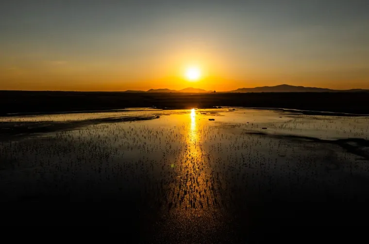 Odlazi ljeto i flamingosi, ali ne samo oni na luftićima! Raznježit će vas ova seoba naroda u toplije krajeve