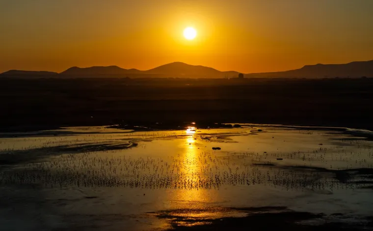 Odlazi ljeto i flamingosi, ali ne samo oni na luftićima! Raznježit će vas ova seoba naroda u toplije krajeve