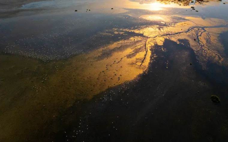 Odlazi ljeto i flamingosi, ali ne samo oni na luftićima! Raznježit će vas ova seoba naroda u toplije krajeve