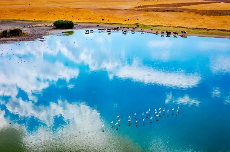 Odlazi ljeto i flamingosi, ali ne samo oni na luftićima! Raznježit će vas ova seoba naroda u toplije krajeve