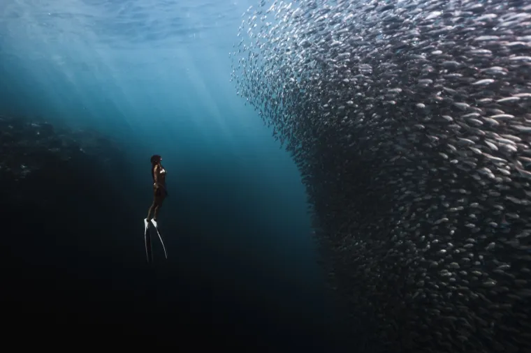 Veličanstvena priroda: Ovako izgledaju zapanjujuće fotografije migracija životinja