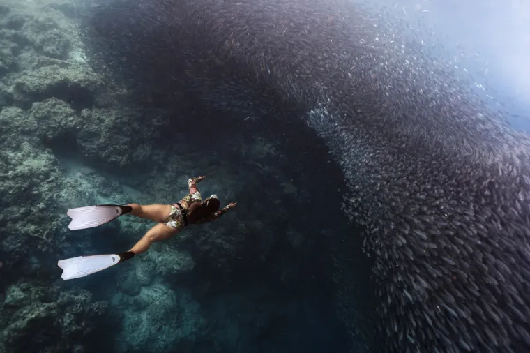 Veličanstvena priroda: Ovako izgledaju zapanjujuće fotografije migracija životinja