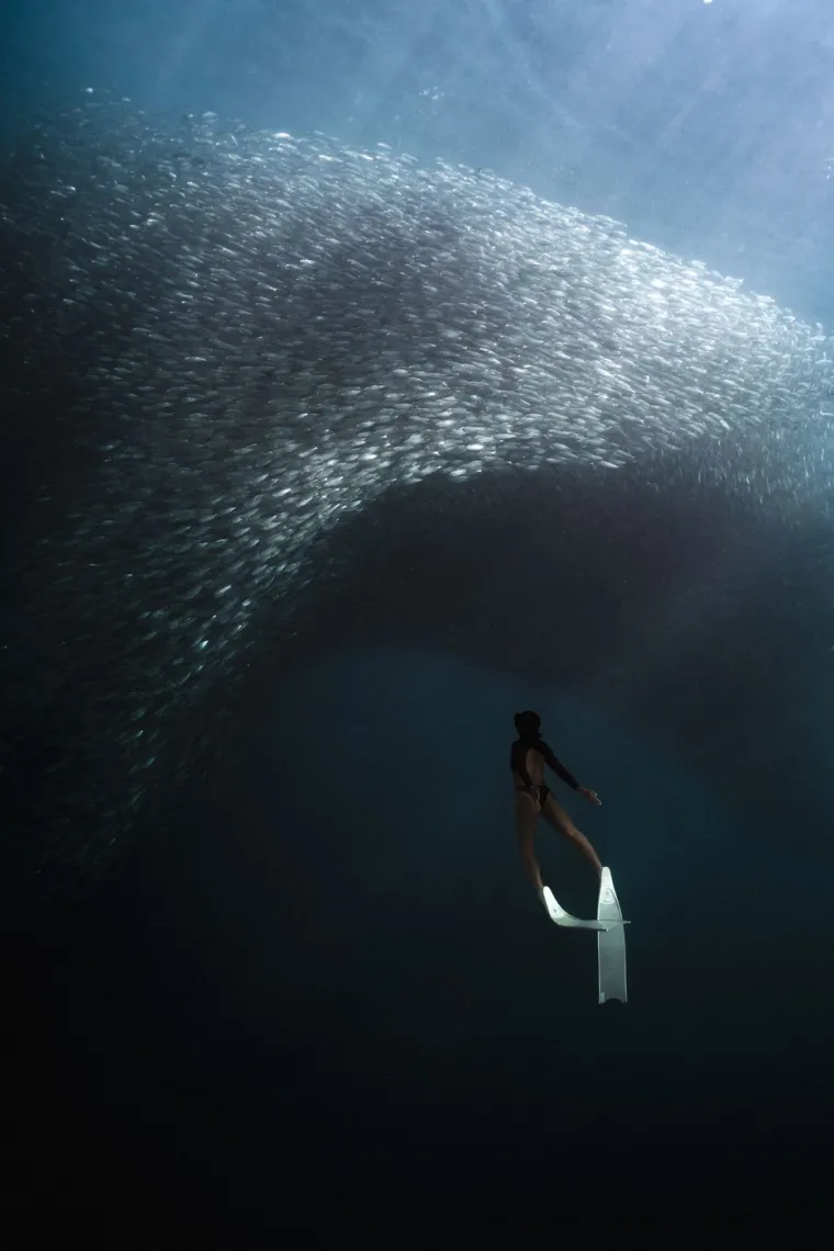 Veličanstvena priroda: Ovako izgledaju zapanjujuće fotografije migracija životinja