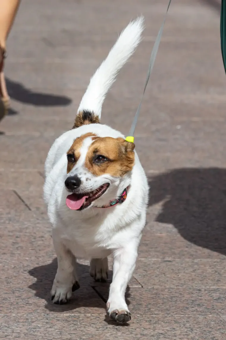 Riječanke i Riječani prema jeseni koračaju sa stilom! Ovo su najsmjeliji