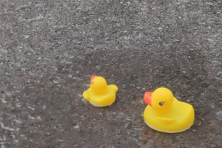 Pogledajte kako izgleda kad se umjesto u moru kupate na ulicama Dubrovnika