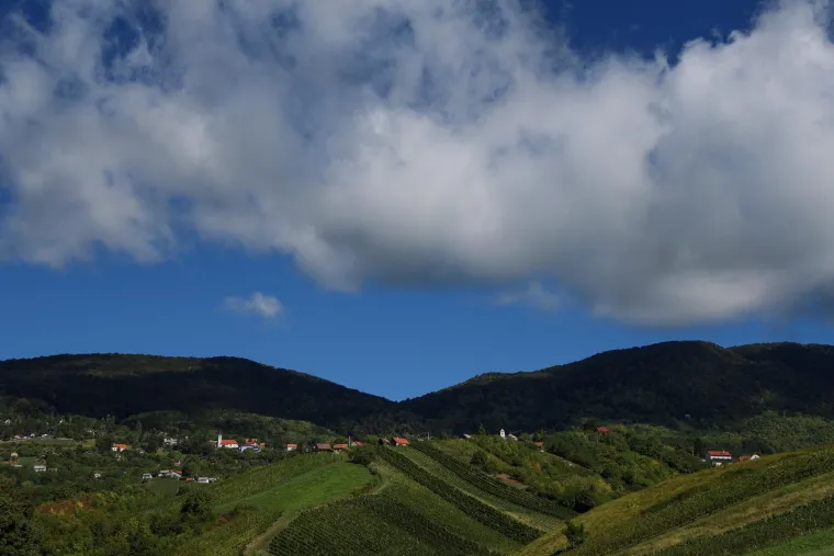 Milanović s flasterom, SDP-ov gradonačelnik: 'Neki piju od radosti, neki od tuge, a mi od jutra!'