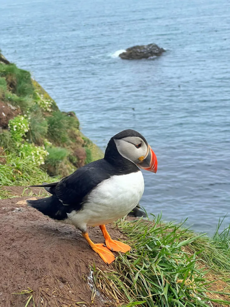 Ivana Paradžiković na dugo željenom putovanju