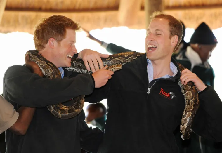 Princ Harry i princ William