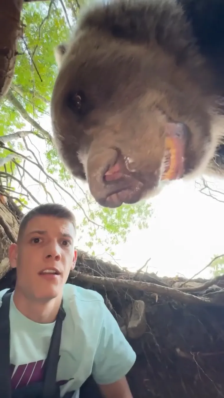 Srbin se zatekao oči u oči s medvjedicom u njezinu brlogu