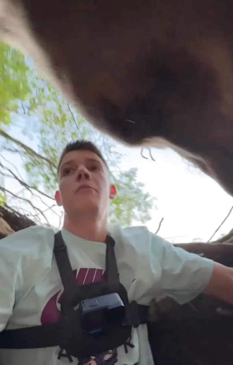 Srbin se zatekao oči u oči s medvjedicom u njezinu brlogu