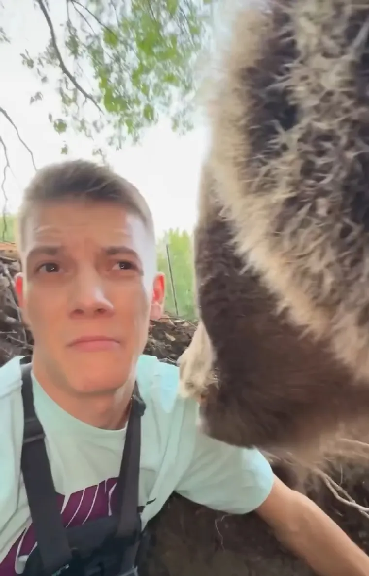 Srbin se zatekao oči u oči s medvjedicom u njezinu brlogu