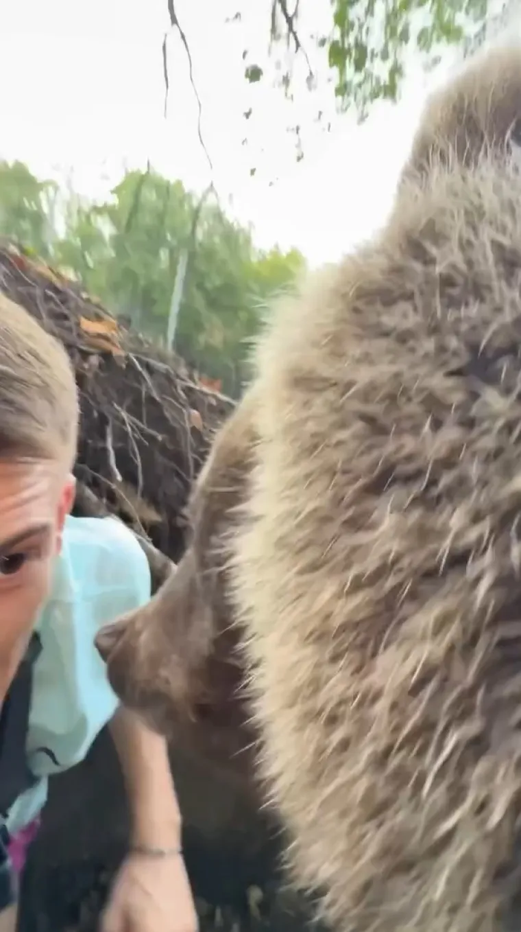 Srbin se zatekao oči u oči s medvjedicom u njezinu brlogu