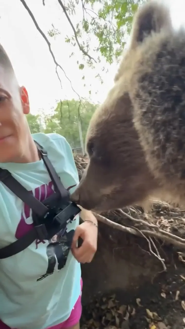 Srbin se zatekao oči u oči s medvjedicom u njezinu brlogu