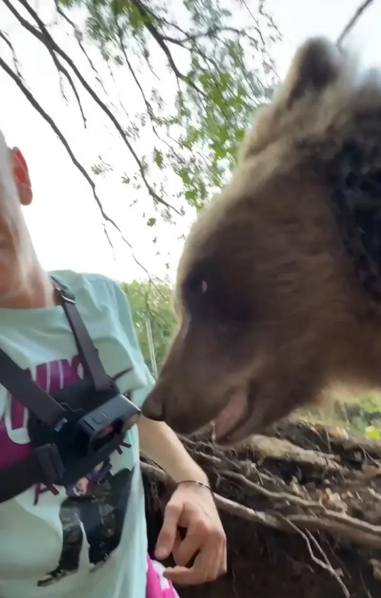 Srbin se zatekao oči u oči s medvjedicom u njezinu brlogu
