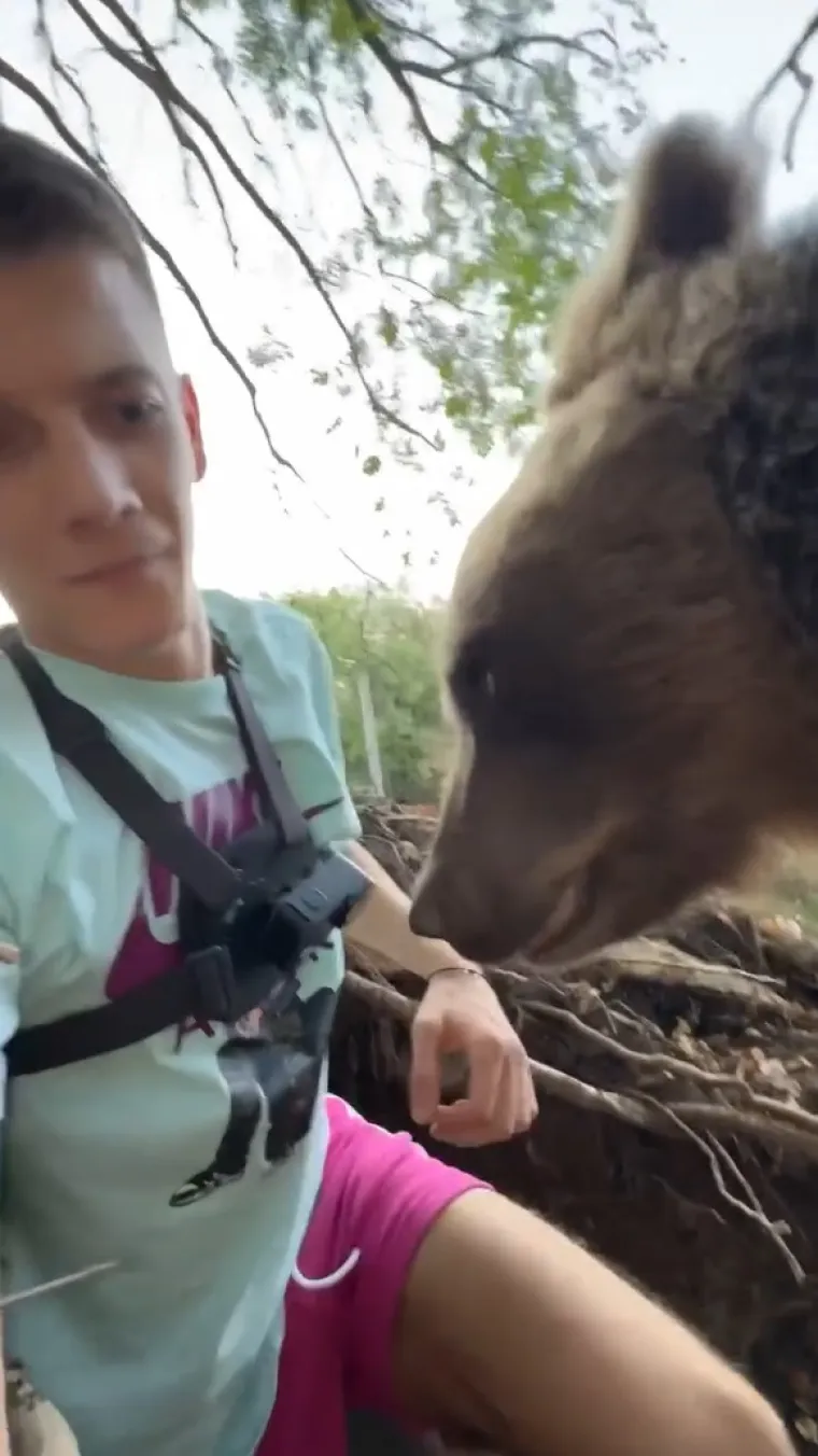 Srbin se zatekao oči u oči s medvjedicom u njezinu brlogu