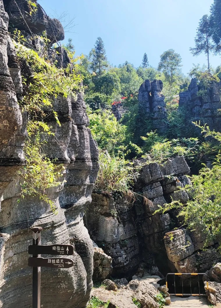 Kamena &scaron;uma Suobuya