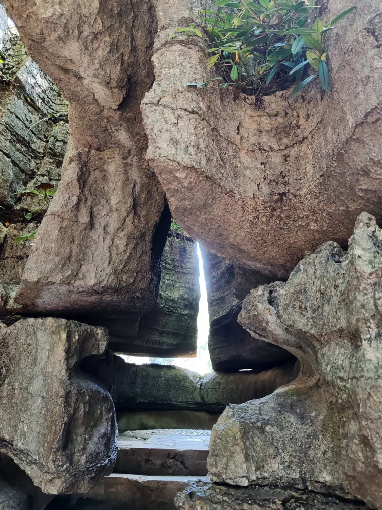 Kamena &scaron;uma Suobuya