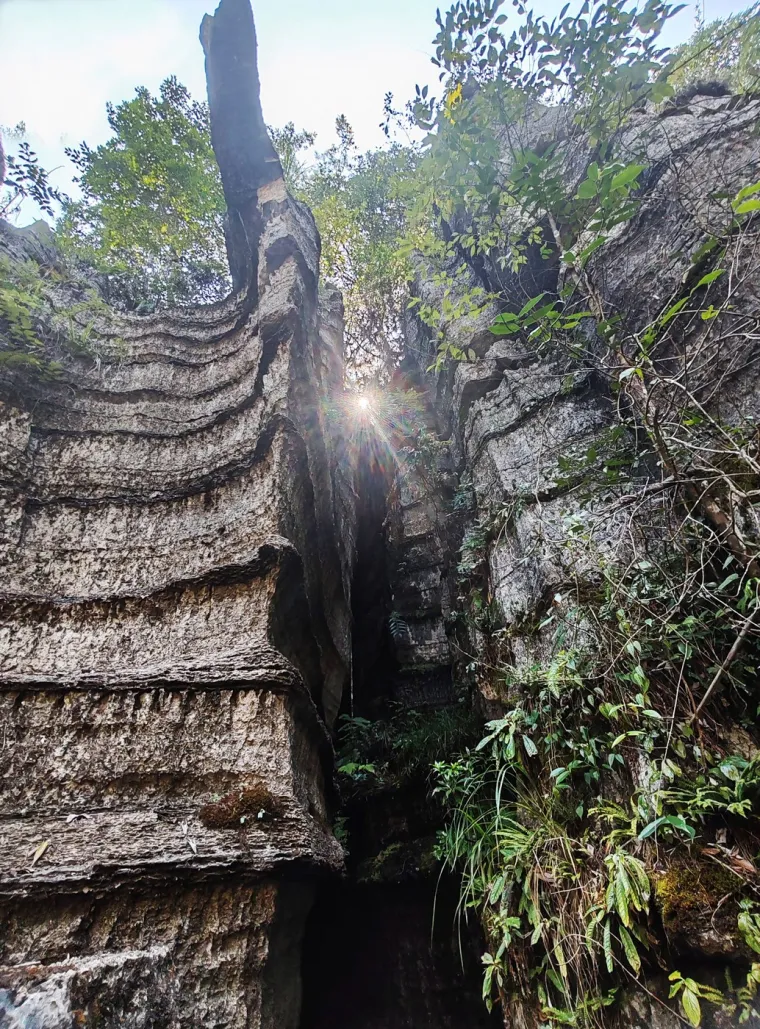 Kamena &scaron;uma Suobuya