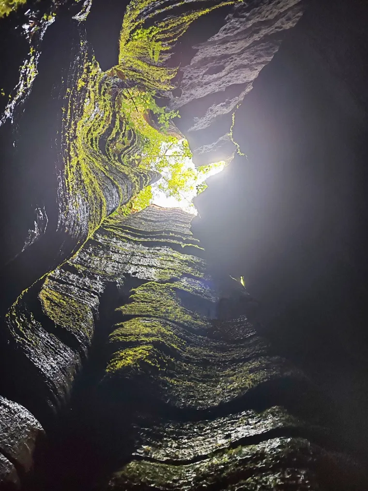 Kamena &scaron;uma Suobuya