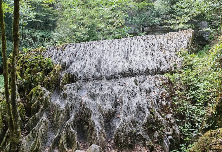 Kamena &scaron;uma Suobuya