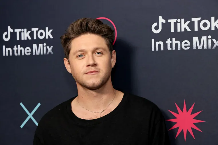 Od zajedništva do raspada: Evo kako danas izgledaju dečki iz One Direction