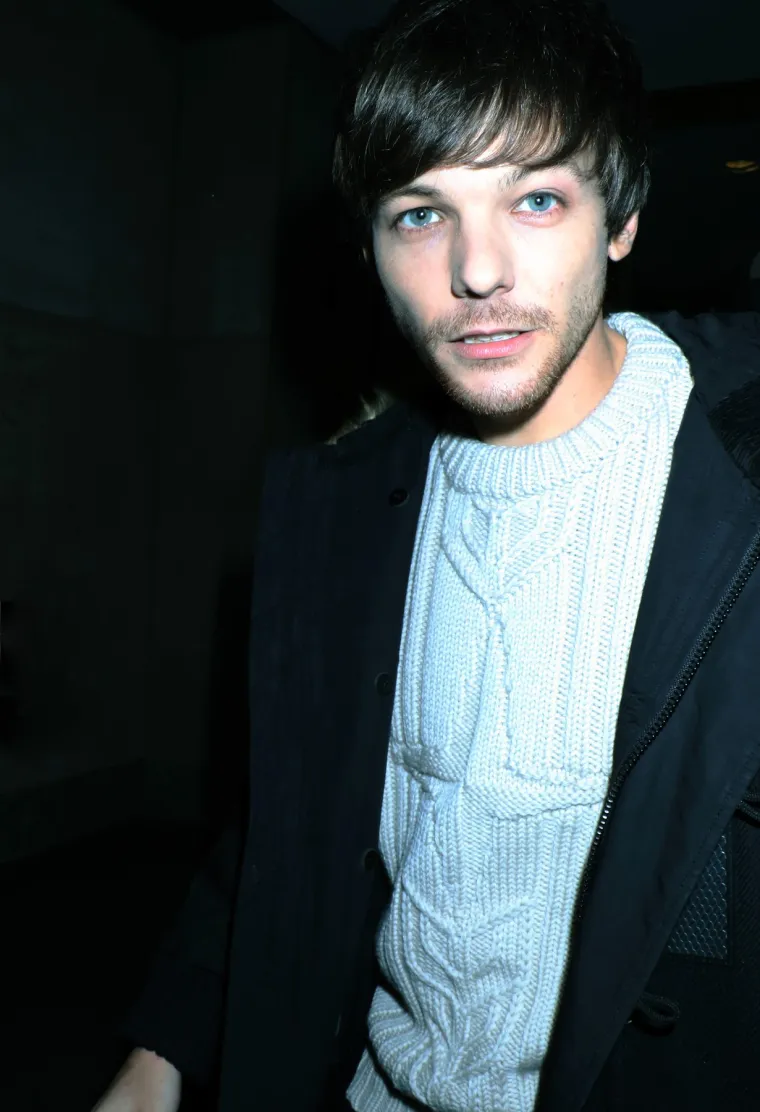 Od zajedni&scaron;tva do raspada: Evo kako danas izgledaju dečki iz One Direction