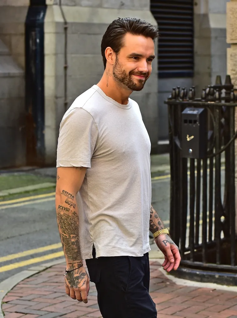 Od zajedni&scaron;tva do raspada: Evo kako danas izgledaju dečki iz One Direction