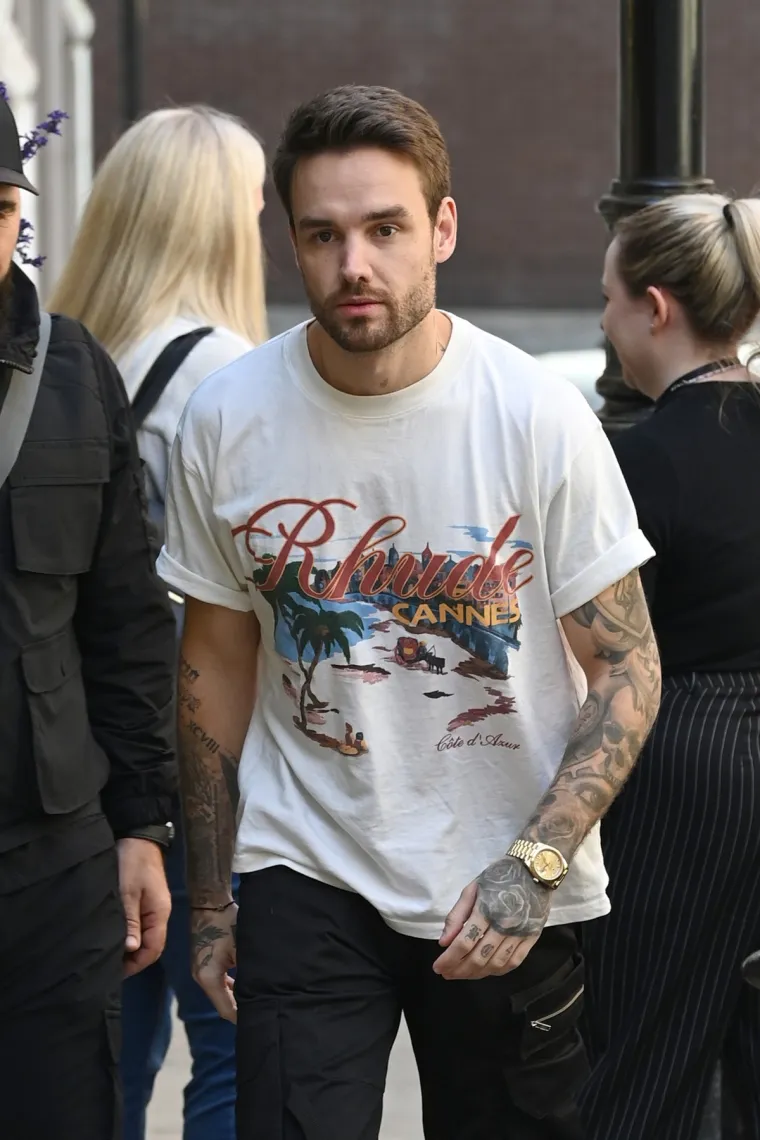 Nakon raspada grupe 2016. godine Payne je započeo solo karijeru i objavio nekoliko singlova, uključujući 'Strip That Down', 'Bedroom Floor' i 'For You'