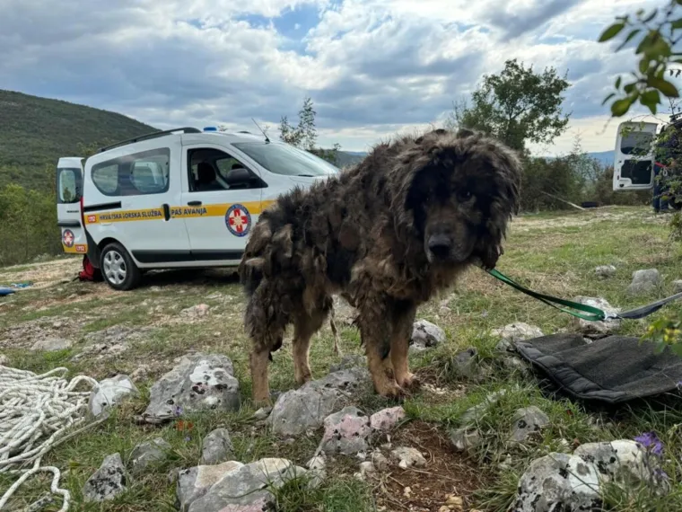 HGSS-ovci spasili psa iz jame duboke četrdeset metara